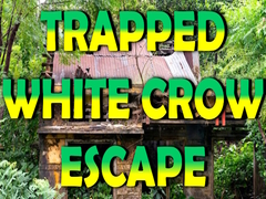 Игри Trapped White Crow Escape