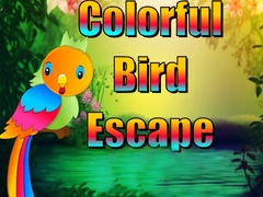 Игри Colorful Bird Escape