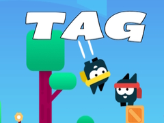 Игри Tag