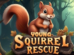 Игри Young Squirrel Rescue