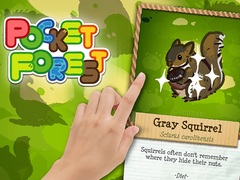 Игри Pocket Forest