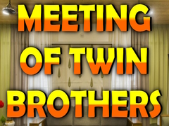 Игри Wow Meeting of Twin Brothers