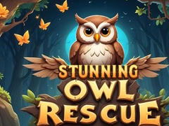 Игри Stunning Owl Rescue