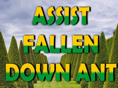 Игри  Assist Fallen Down Ant