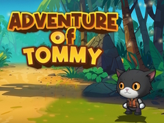 Игри Advanture Of Tommy