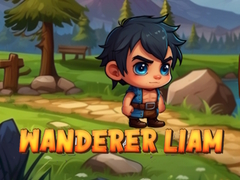 Игри Wanderer Liam