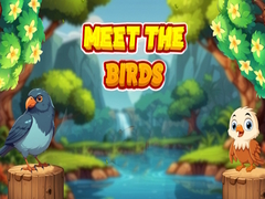 Игри Meet The Birds 