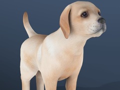 Игри IDLE Pet