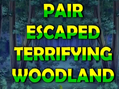 Игри Pair Escaped Terrifying Woodland