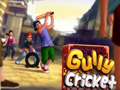Игри Gully Cricket