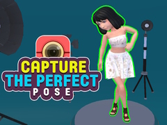 Игри Capture the Perfect Pose 