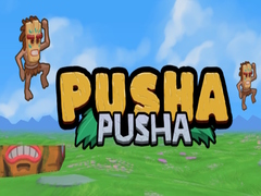 Игри Pusha Pusha