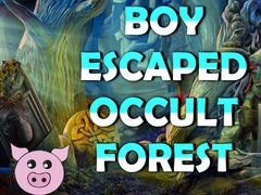 Игри Boy Escaped Occult Forest