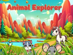 Игри Animal Explorer 