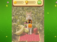 Игри Farm Cat Memory Match