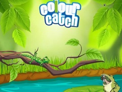 Игри Colour Catch