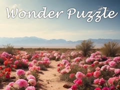 Игри Wonder Puzzle