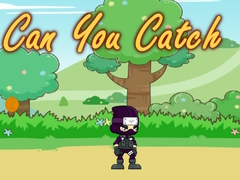 Игри Can You Catch