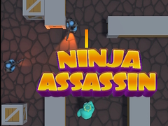 Игри Ninja Assassin