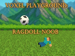 Игри Voxel Playground: Ragdoll Noob