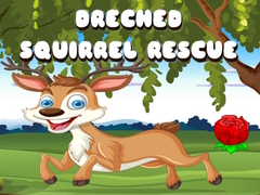 Игри Drenched Squirrel Rescue