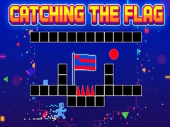 Игри Catching the Flag