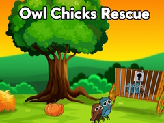 Игри Owl Chicks Rescue from Cage