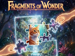 Игри Fragments of Wonder