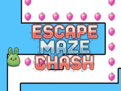 Игри Escape Maze Chush
