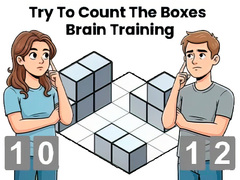 Игри Try To Count The Boxes Brain Training