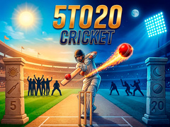 Игри 5TO20 Cricket
