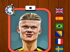 Игри Haaland Coloring Book