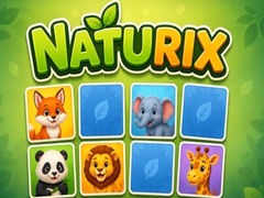 Игри Naturix
