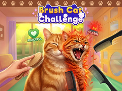 Игри Brush Cat Challenge 