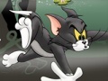 Игри Tom And Jerry Chase In Marsh