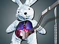 Игри Save The Bunny