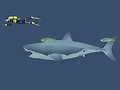 Игри Mad Shark