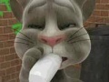 Игри Talking Tom Cat